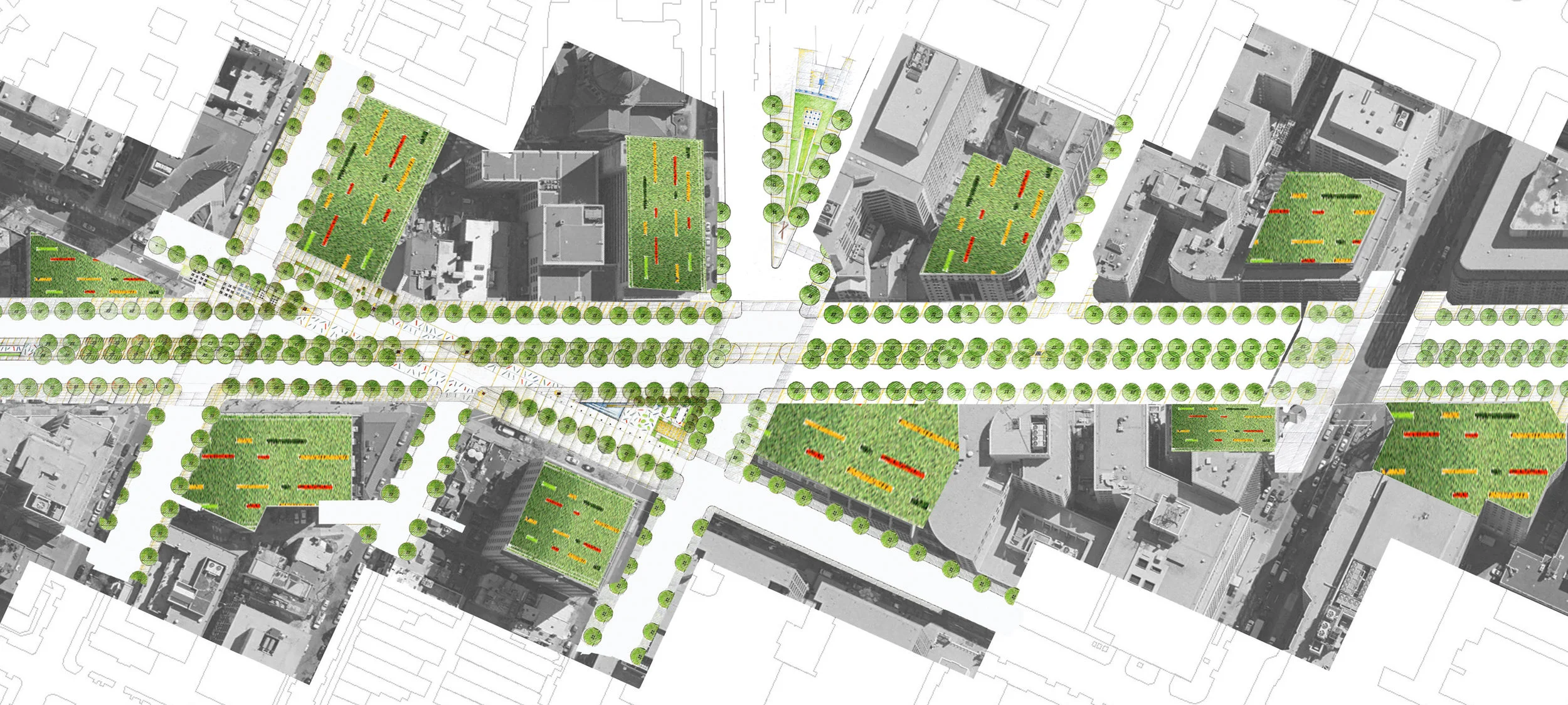 LongFellow Segment-final.jpg