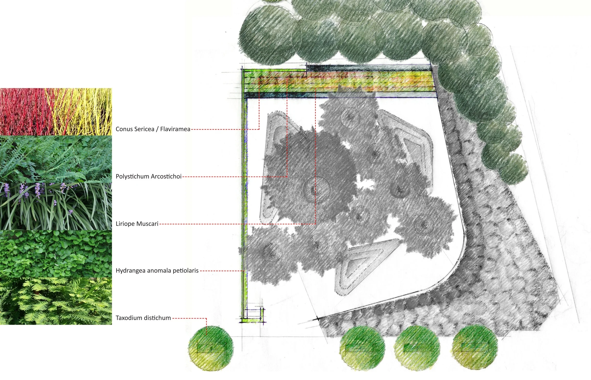 Planting Diagram: On Site Bio Retention