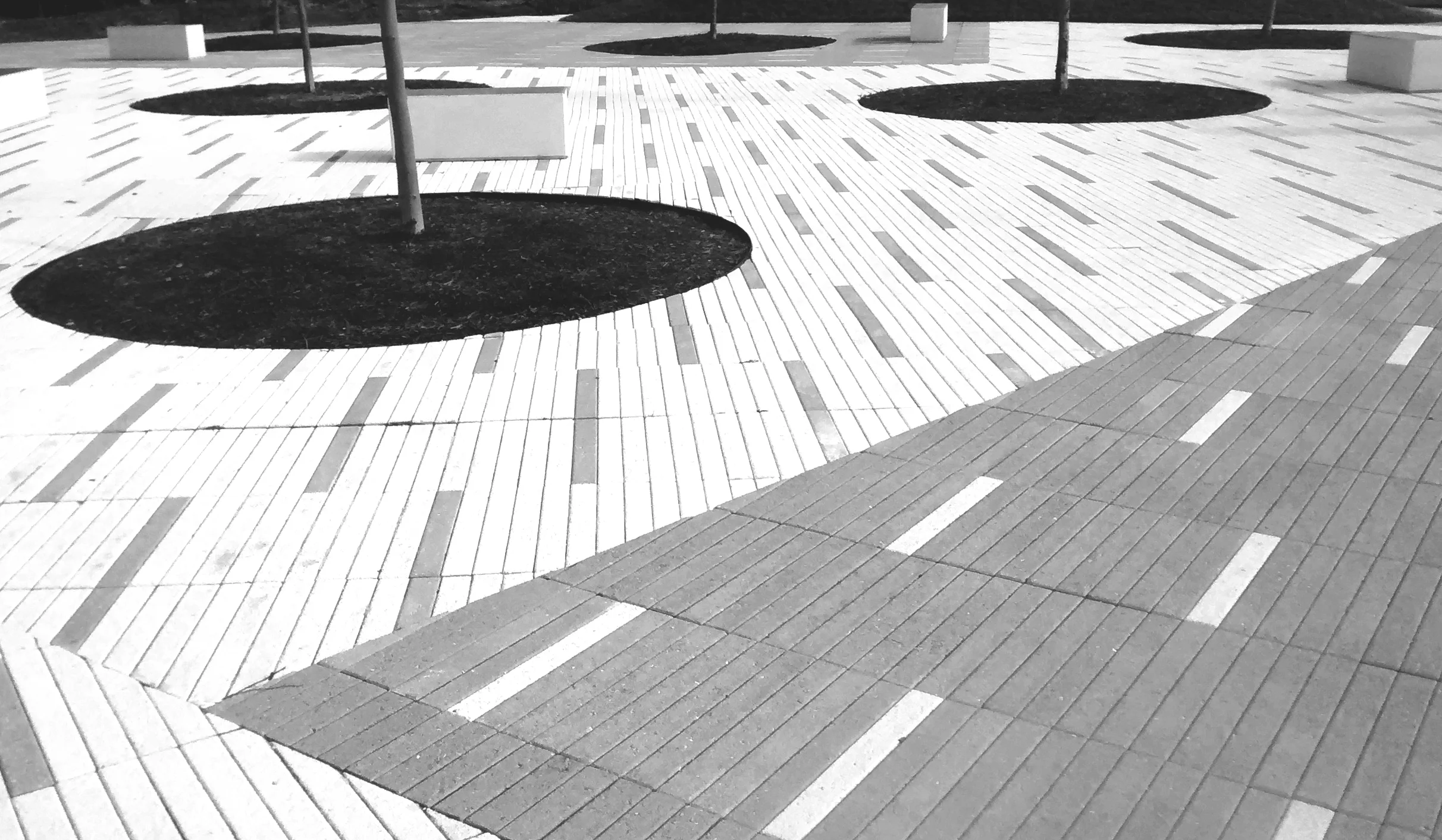 Photo: New Park