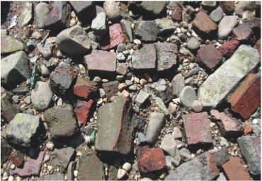 Beach Debris at Buzzard Point