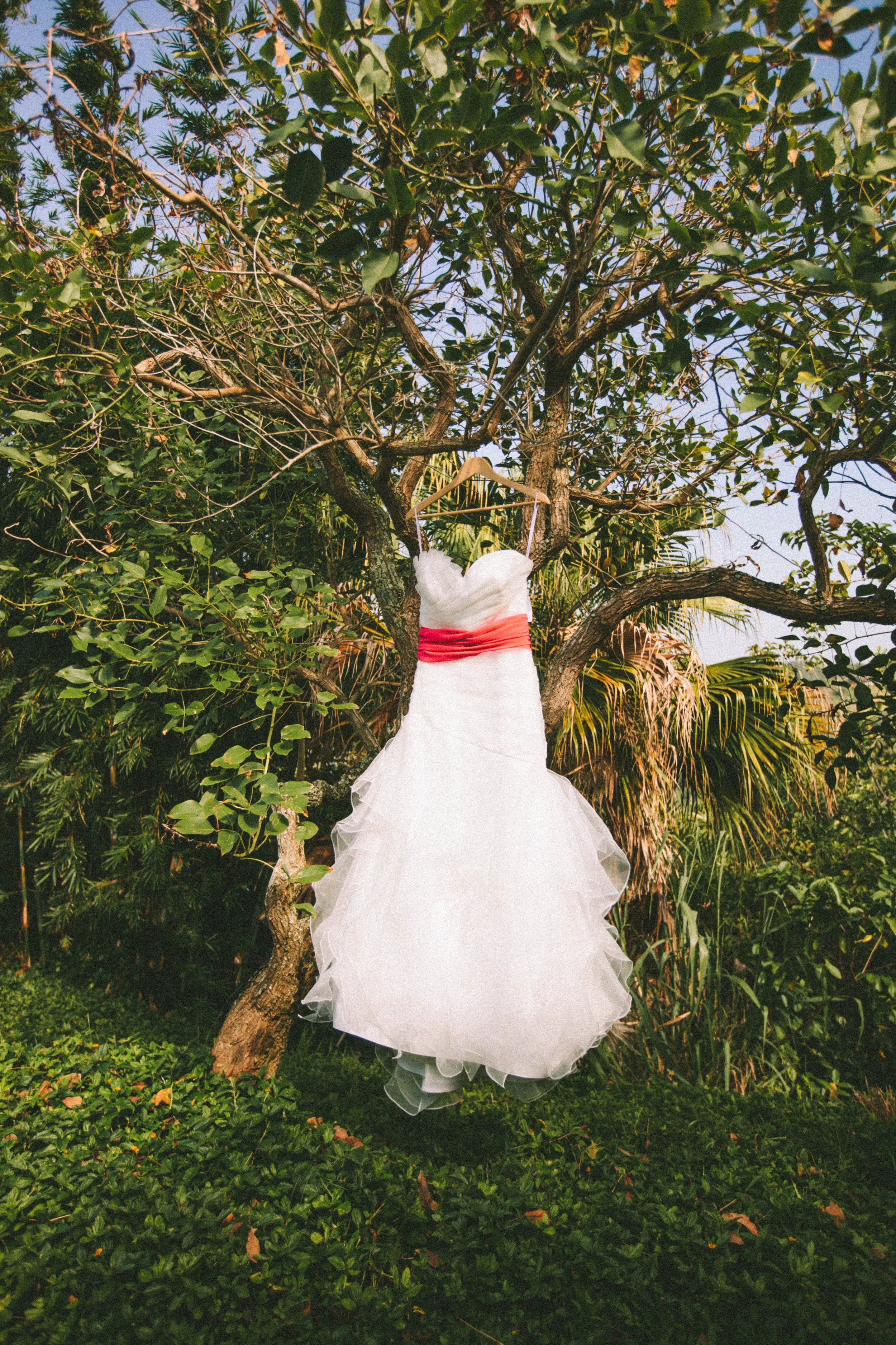 Penny Dinn Photography | Kauai Wedding Photographer Kauai Photographer Los Angeles Wedding Photographer Santa Barbara Wedding Photographer California Wedding Photographer Santa Barbara Photographer. Santa Barbara Wedding Photographer. San Diego Wedding Photographer. San Diego Photographer. Los Angeles Photographer. Los Angeles Wedding Photographer. San Diego Photographer. San Diego Wedding Photographer. California Photographer. California Wedding Photographer