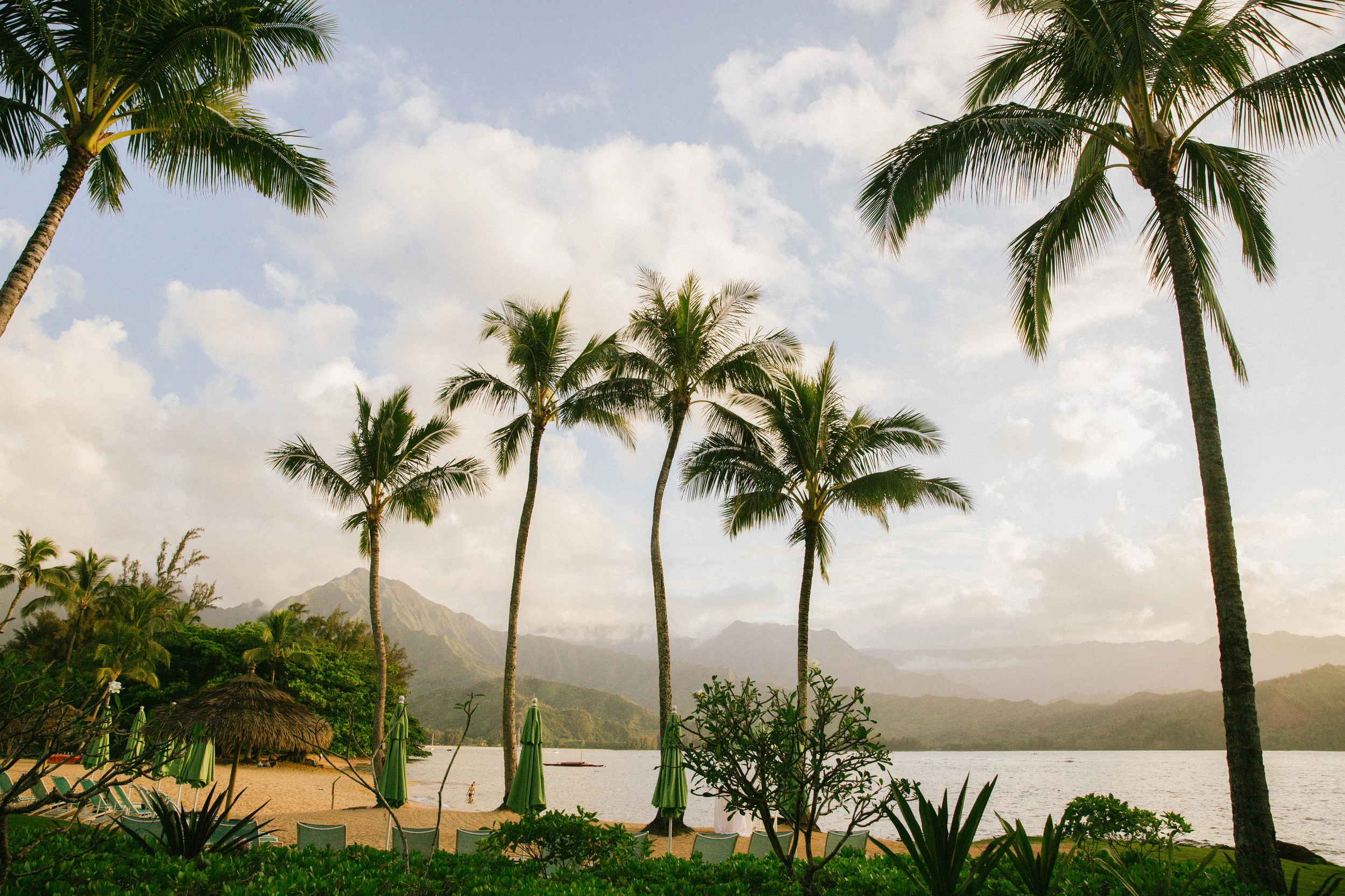 Penny Dinn Photography | Kauai Wedding Photographer Kauai Photographer Los Angeles Wedding Photographer Santa Barbara Wedding Photographer California Wedding Photographer Santa Barbara Photographer. Santa Barbara Wedding Photographer. San Diego Wedding Photographer. San Diego Photographer. Los Angeles Photographer. Los Angeles Wedding Photographer. San Diego Photographer. San Diego Wedding Photographer. California Photographer. California Wedding Photographer