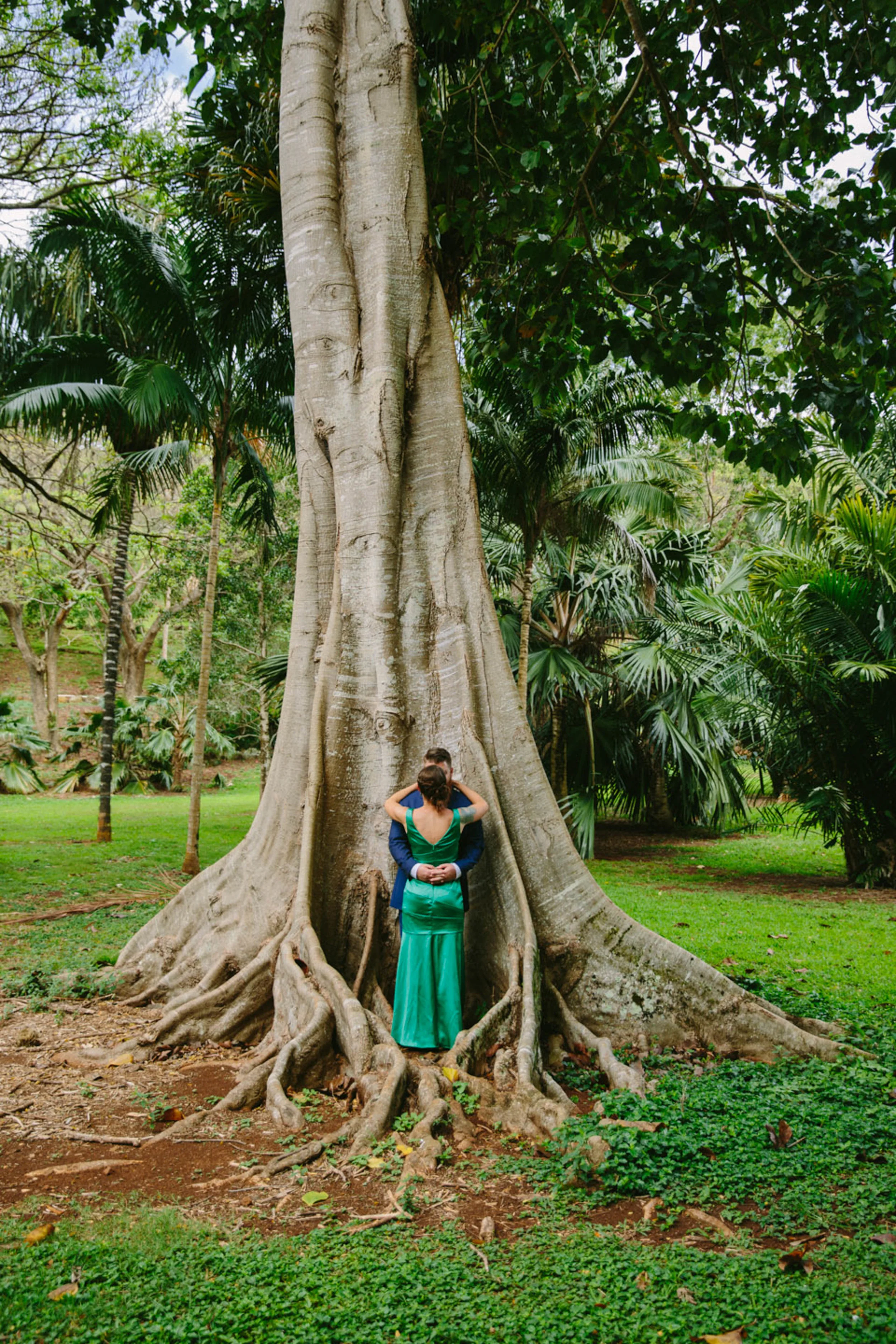 Penny Dinn Photography | Kauai Wedding Photographer Kauai Photographer Los Angeles Wedding Photographer Santa Barbara Wedding Photographer California Wedding Photographer Santa Barbara Photographer. Santa Barbara Wedding Photographer. San Diego Wedding Photographer. San Diego Photographer. Los Angeles Photographer. Los Angeles Wedding Photographer. San Diego Photographer. San Diego Wedding Photographer. California Photographer. California Wedding Photographer
