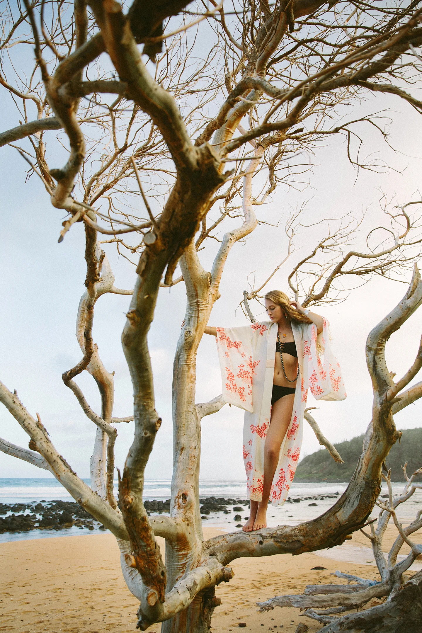 Penny Dinn Photography | Kauai Wedding Photographer Kauai Photographer Los Angeles Wedding Photographer Santa Barbara Wedding Photographer California Wedding Photographer Santa Barbara Photographer. Santa Barbara Wedding Photographer. San Diego Wedding Photographer. San Diego Photographer. Los Angeles Photographer. Los Angeles Wedding Photographer. San Diego Photographer. San Diego Wedding Photographer. California Photographer. California Wedding Photographer