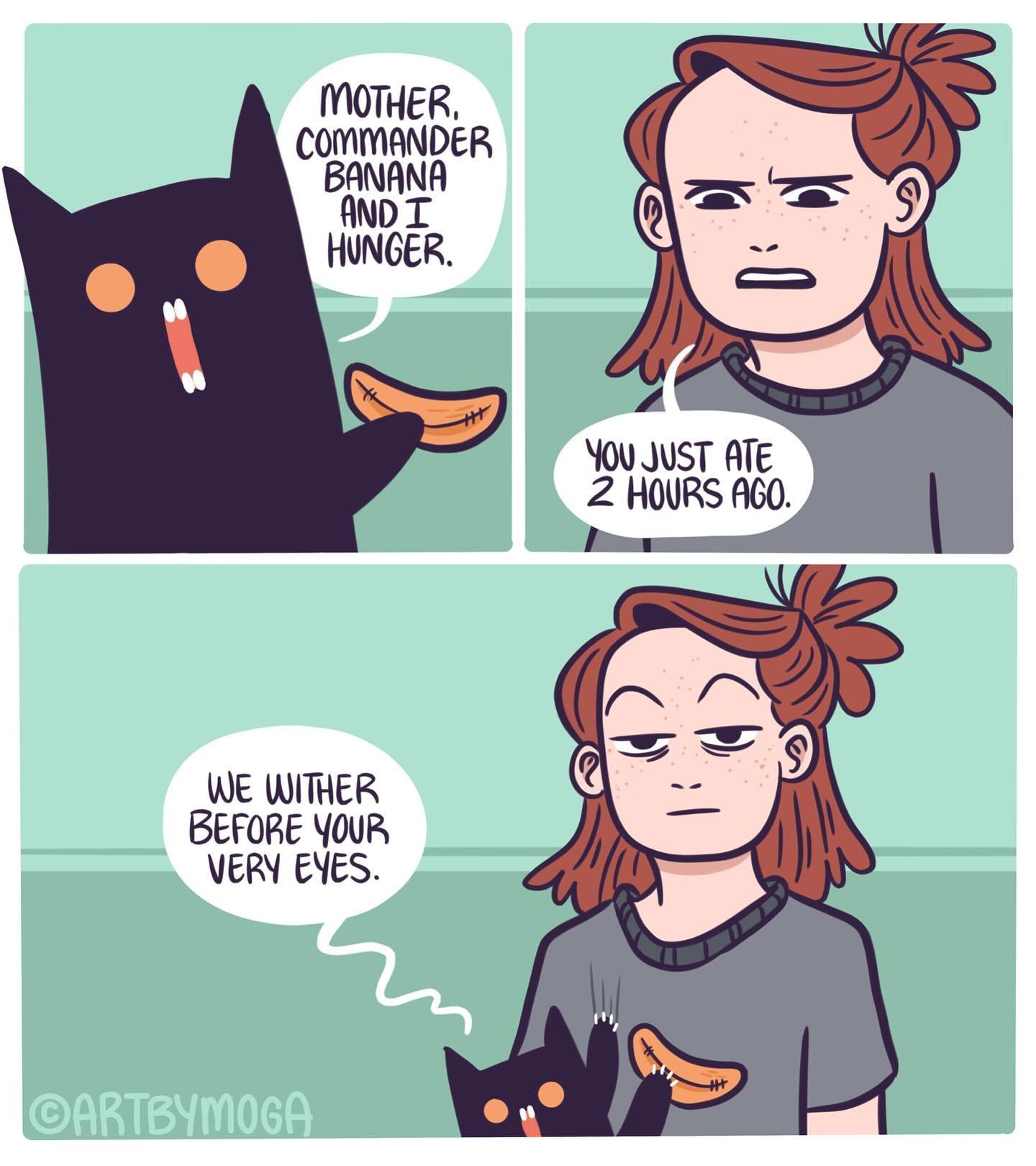 A collection of comics about Shadowfang and Commander Banana 🍌🐈&zwj;⬛
