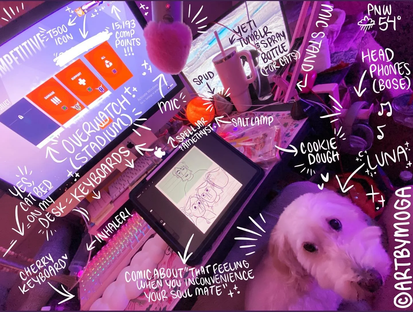 DESK TOUR 🌙💖✨
*
*
Hey all! 

I finally got some sleep (the stay in bed 48 hrs kind), and when I woke back up I found these files on my computer. I made these at the tail end of being awake 78 hrs and very hypomanic. I was awake Sunday-Wednesday, th