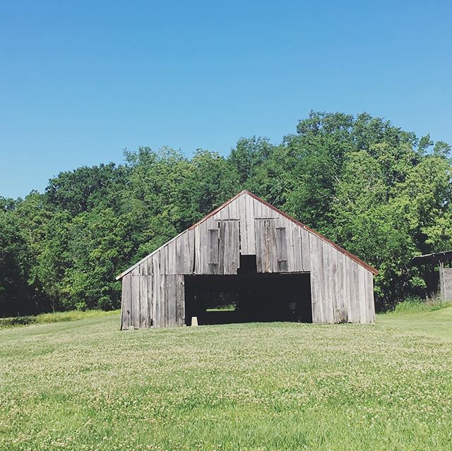 We&rsquo;re headed to the east coast in early September with a van load of joy. We could use a few more barns to play in. We&rsquo;re almost all booked. #louque #periqueculture #gowesty #westfalia @megamarg