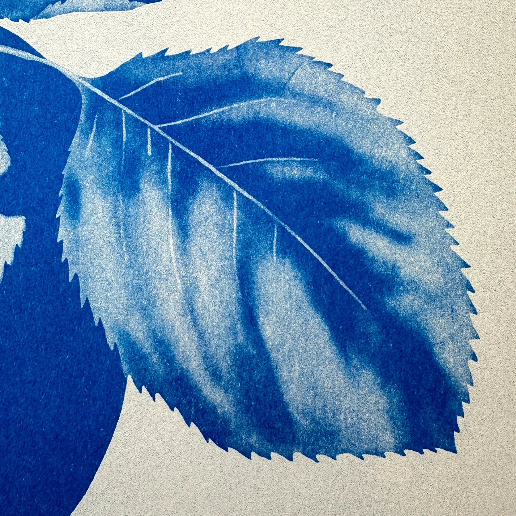 Blue apple botanical sculptural art print contemporary risograph poster