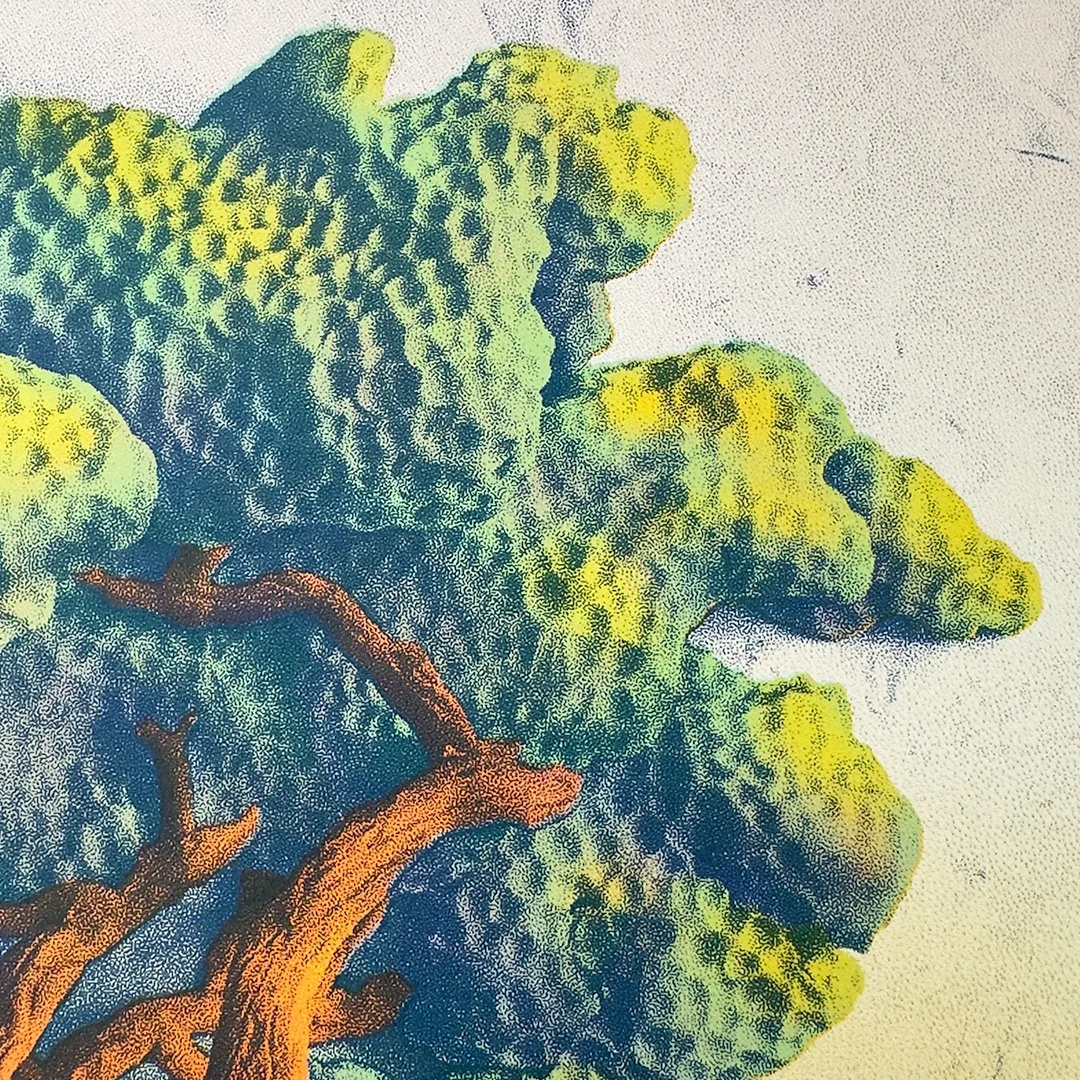 Contemporary sculptural monterey cypress tree landscape riso print for modern living room