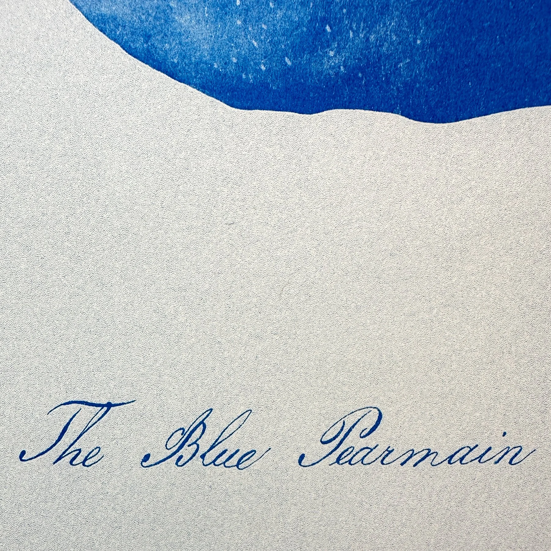 Blue apple botanical sculptural art print contemporary risograph poster
