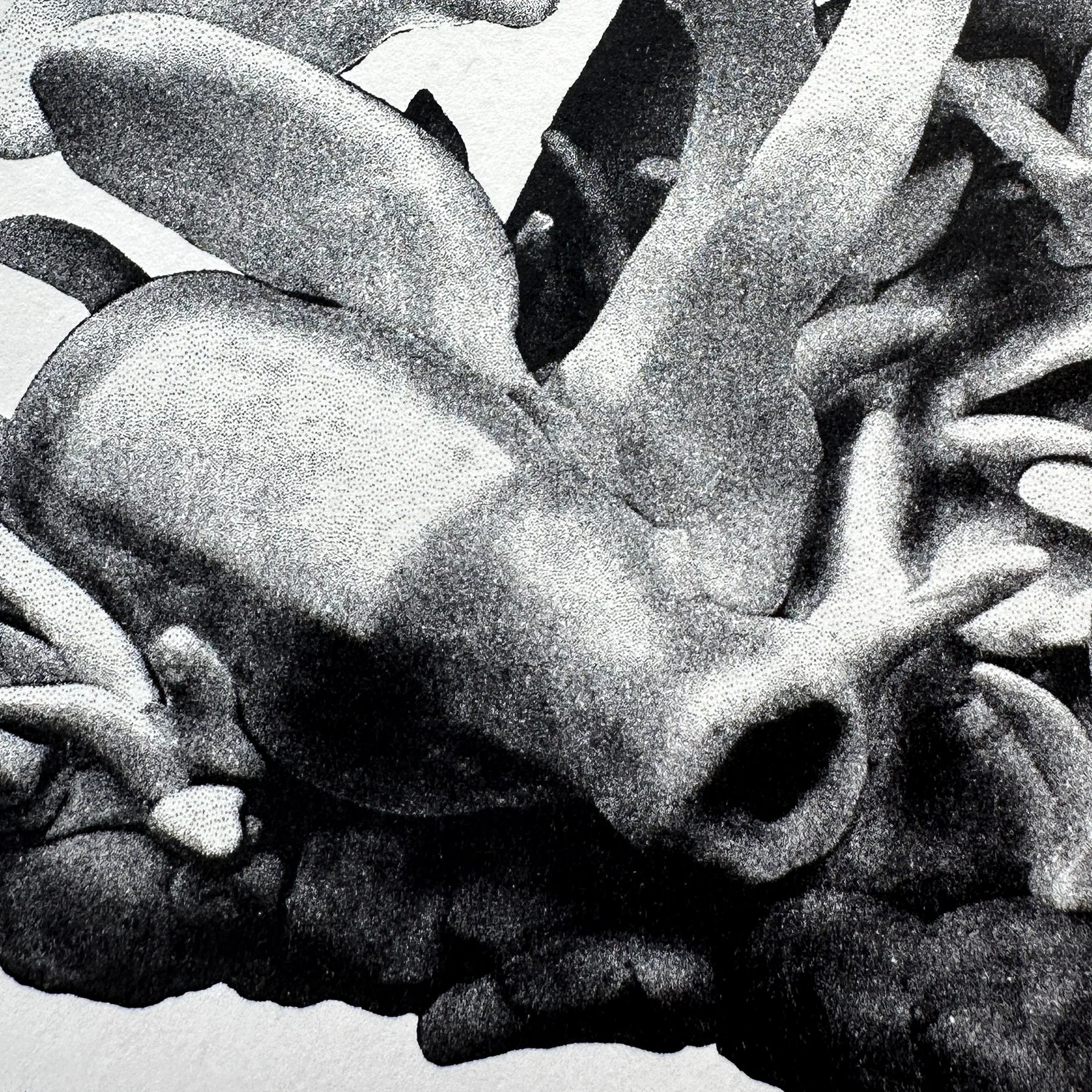 Rabbit_detail3.jpg