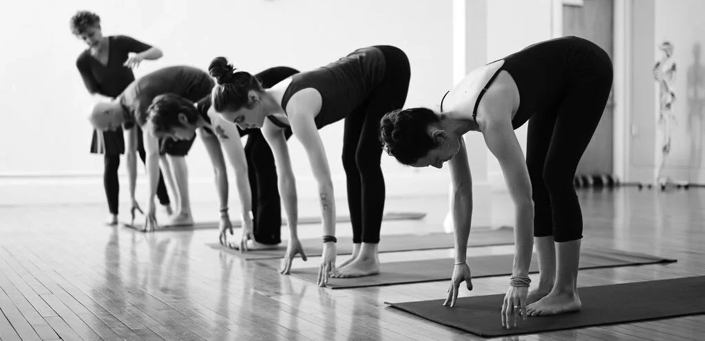 cropped uttanasana line.jpg