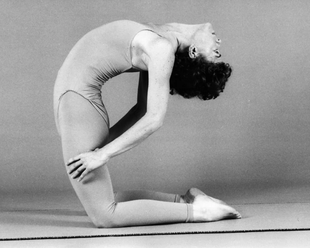 kapotasana to laghu vajrasana