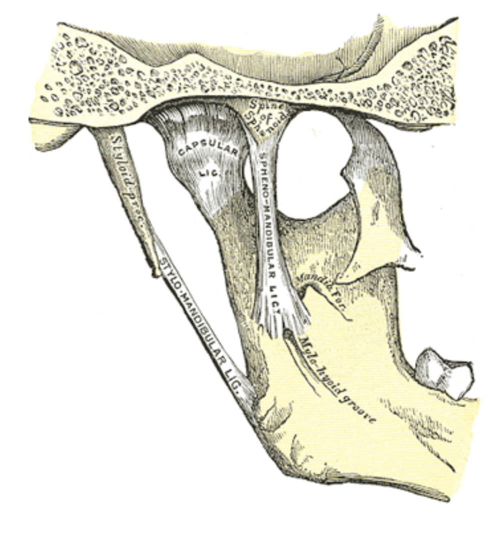 Screen Shot 2022-10-06 at 8.37.40 AM.png