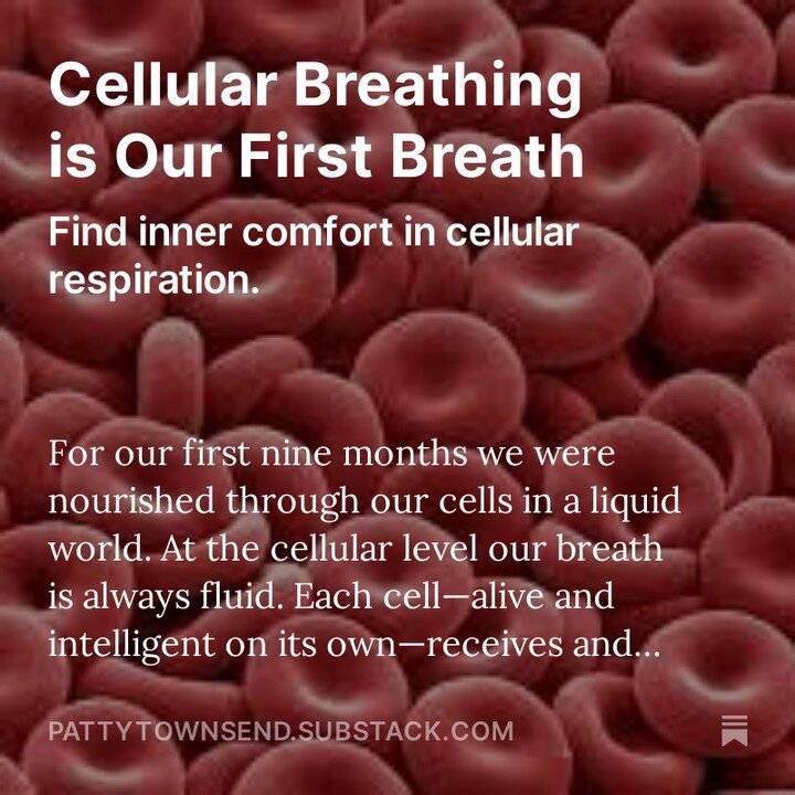 (17 min. audio practice) 
For our first nine months we were nourished through our cells in a liquid world. At the cellular level our breath is always fluid. 

Each cell&mdash;alive and intelligent on its own&mdash;receives and releases nutrients as i