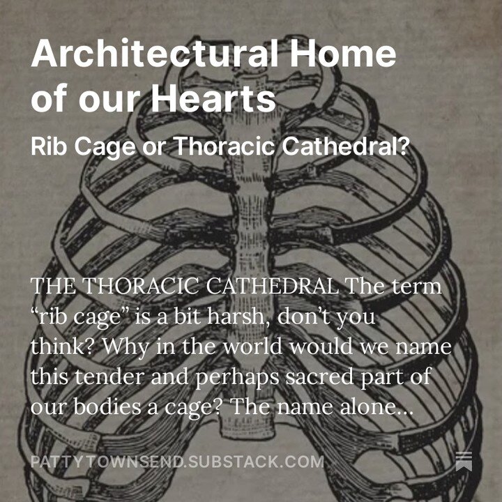 The thoracic cathedral is the space and the home for our heart and lungs.

We can change our understanding and embodiment of this structure by learning more about it. Once we really get that it is not a cage, we can begin to alter how how we breathe 