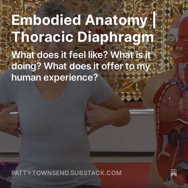 &mdash;&mdash;Video on SubStack! Link in Bio!&mdash;&mdash;
This is the second post in our series about diaphragms. Our thoracic diaphragm is often called the &ldquo;breathing diaphragm&rdquo; because it is the primary muscle involved in creating the