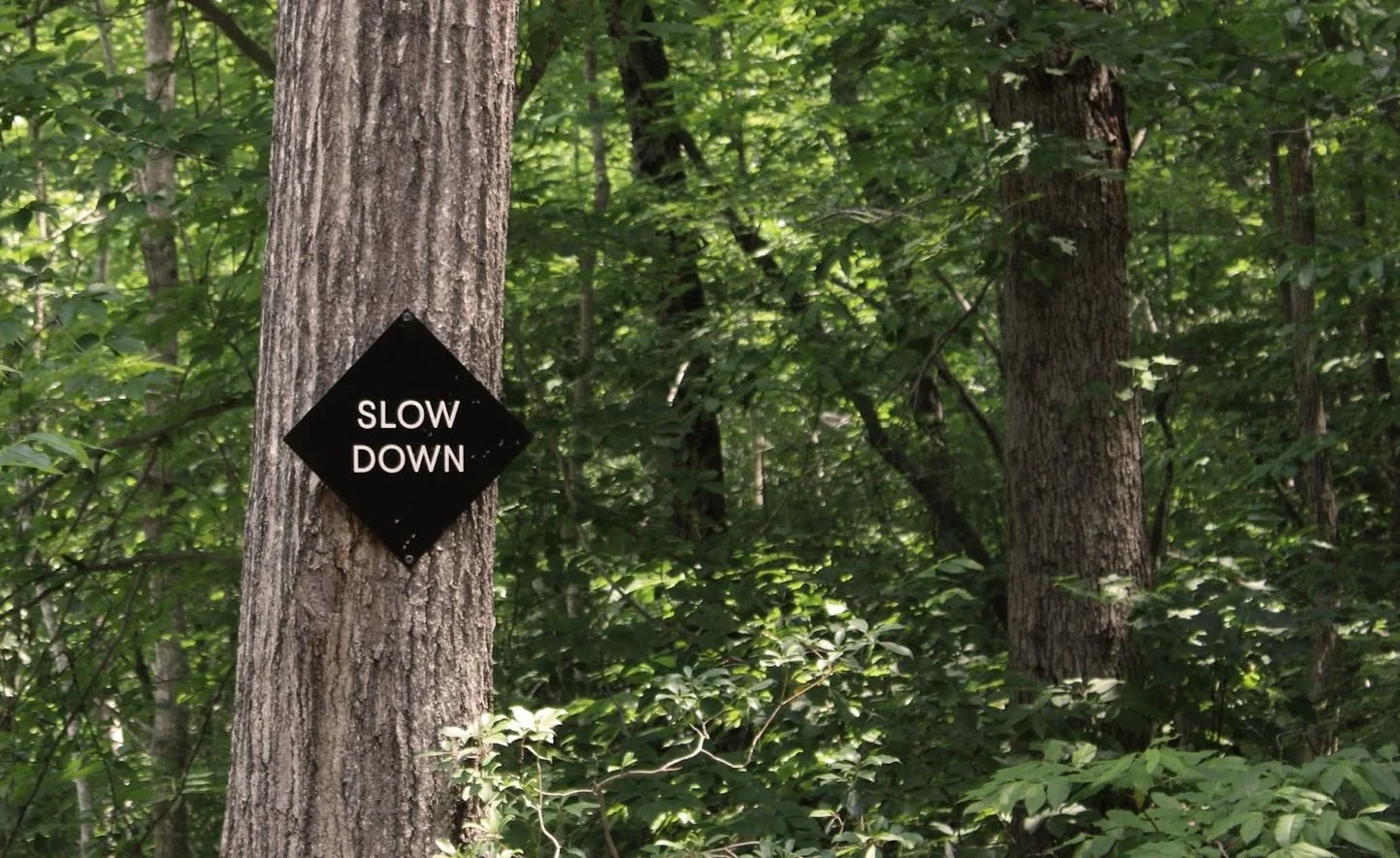  GETAWAY Asheboro Foto: Małgorzata Maik 