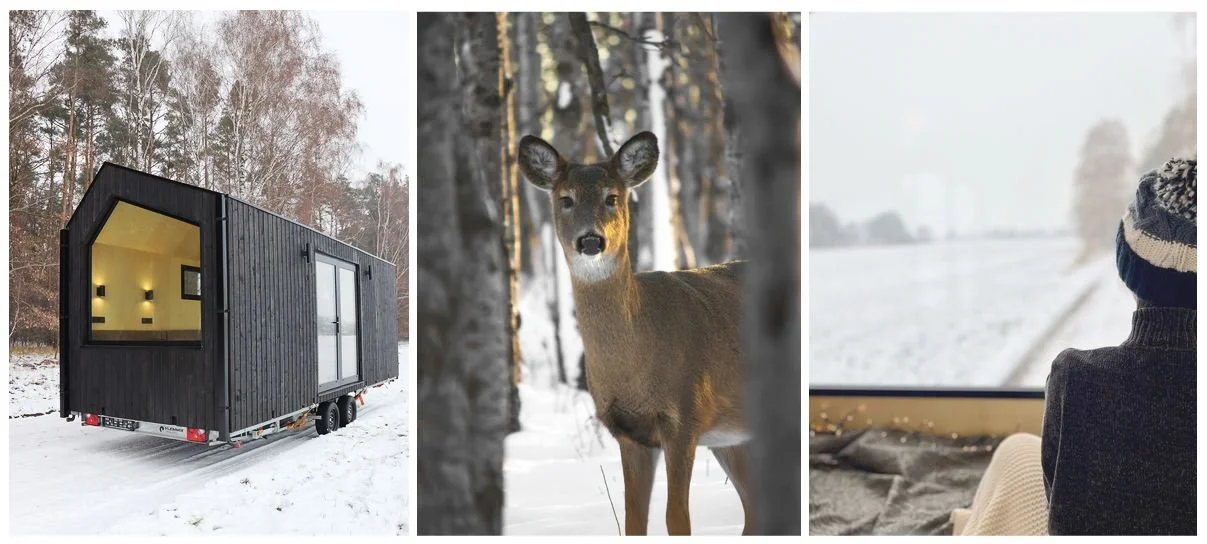  Photo: REDUKT, pexels.com 