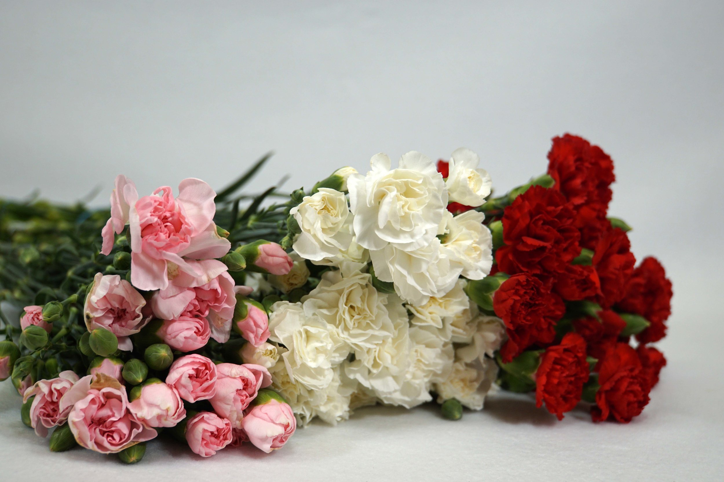 FLOWERS — Riverside Florist