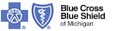 St. Joseph Mi Dentist - David Ronto - Blue Par Select