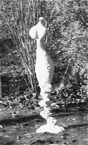 Venus 1962