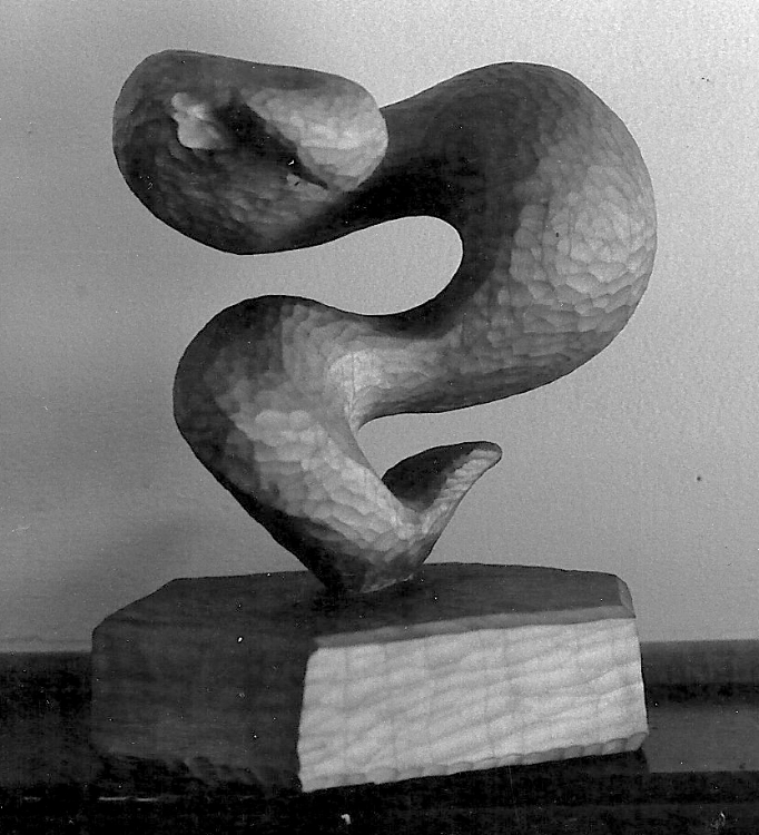 'S'