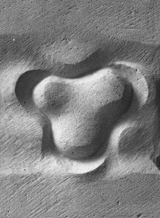 'M'