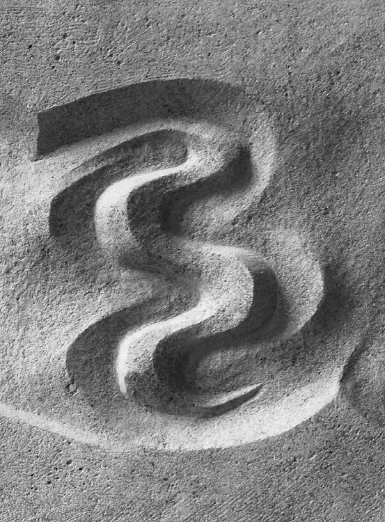 'S'