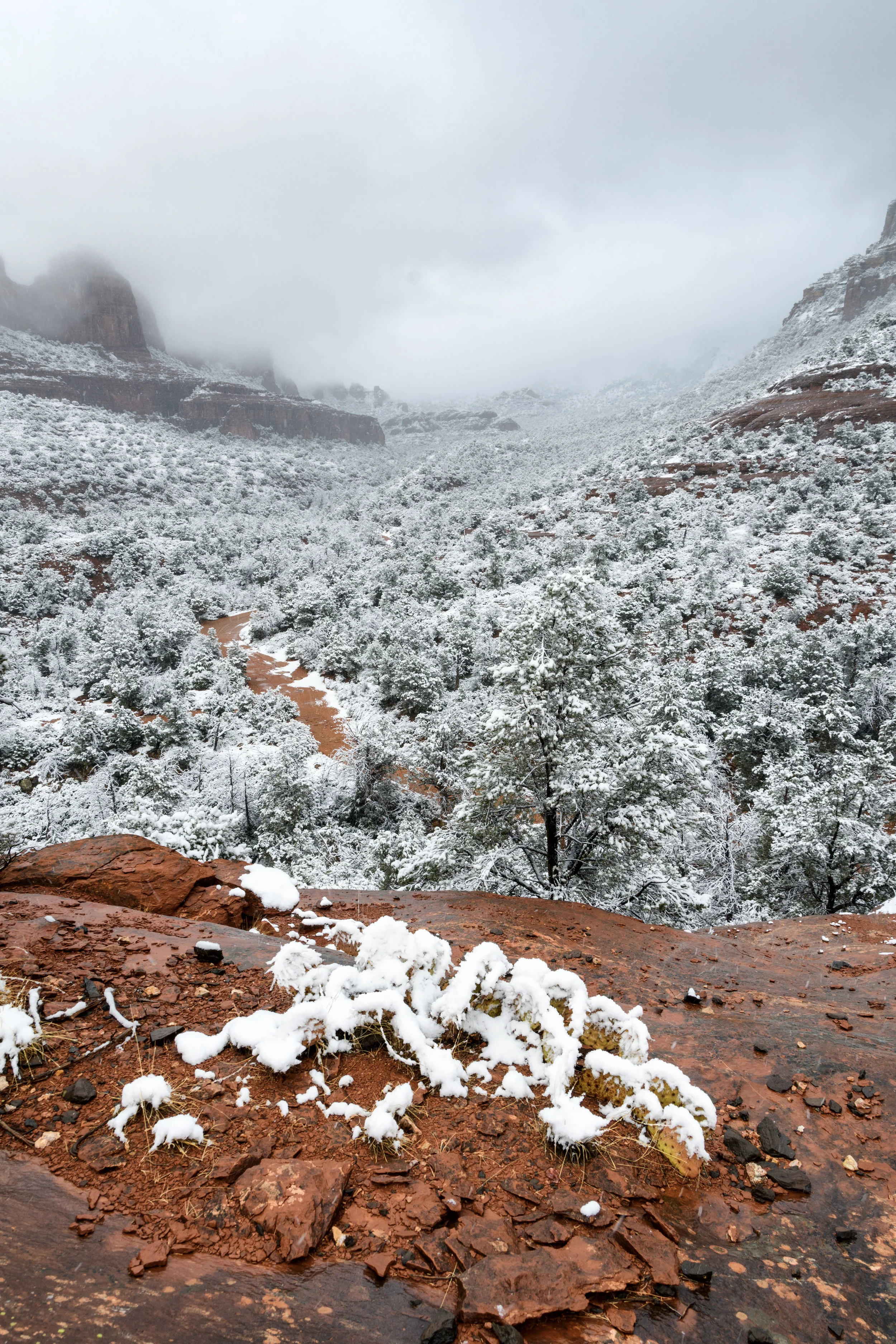 winter2018-3.jpg