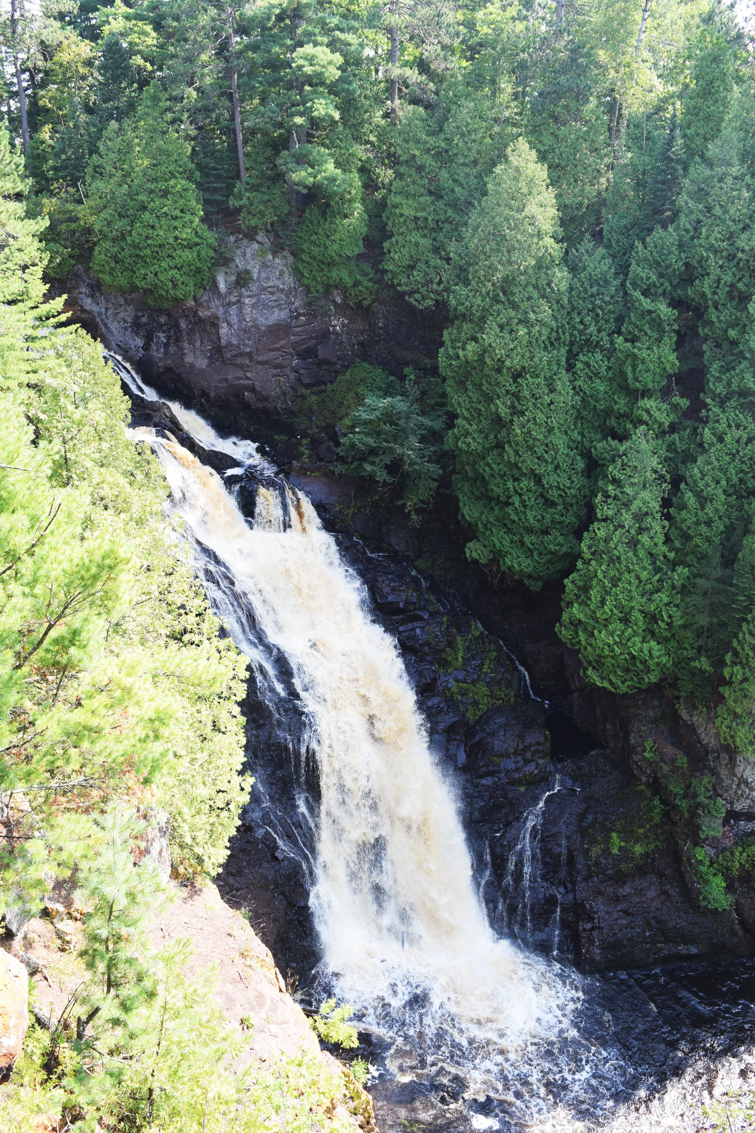DSC_0226.jpg