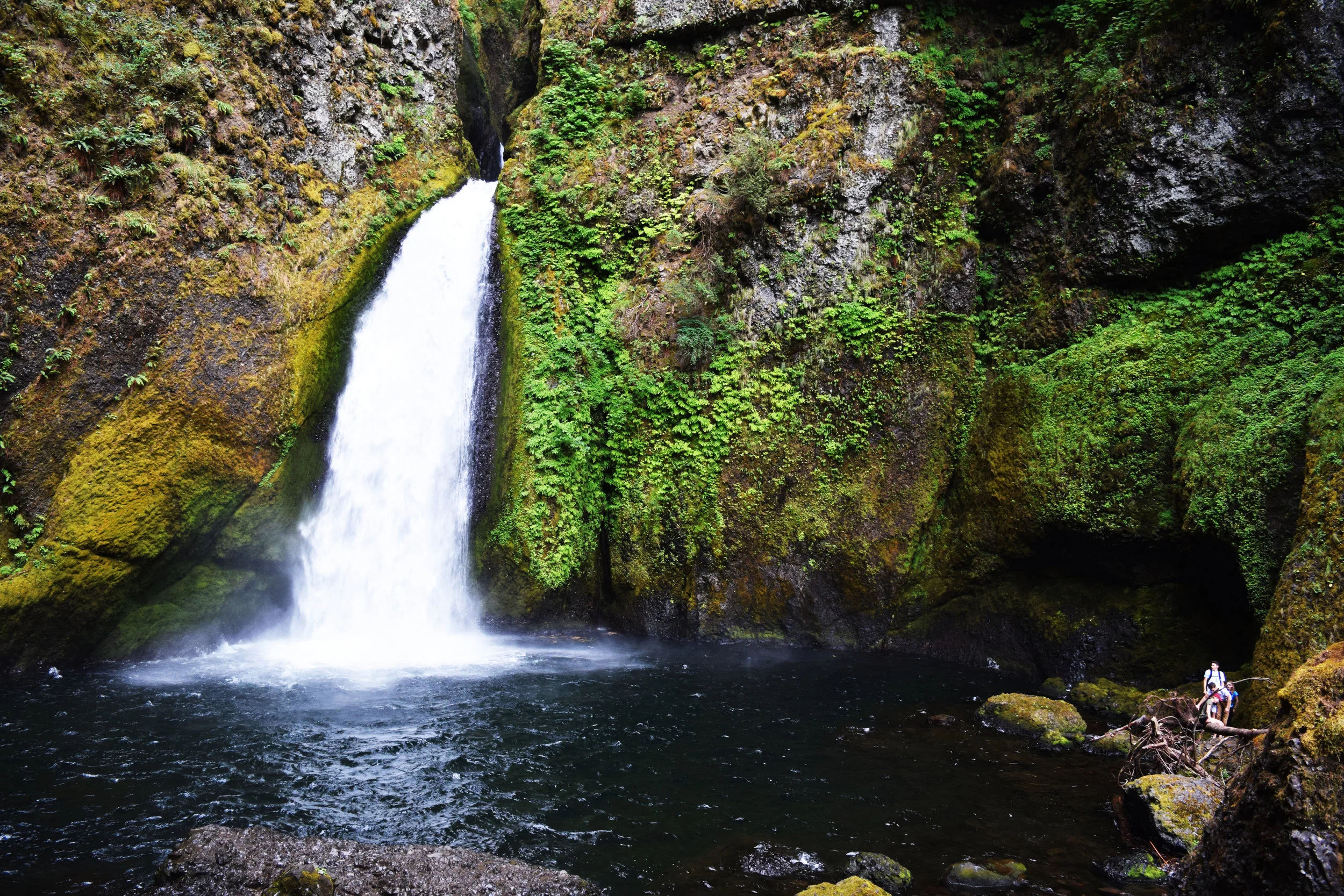 DSC_0916.jpg