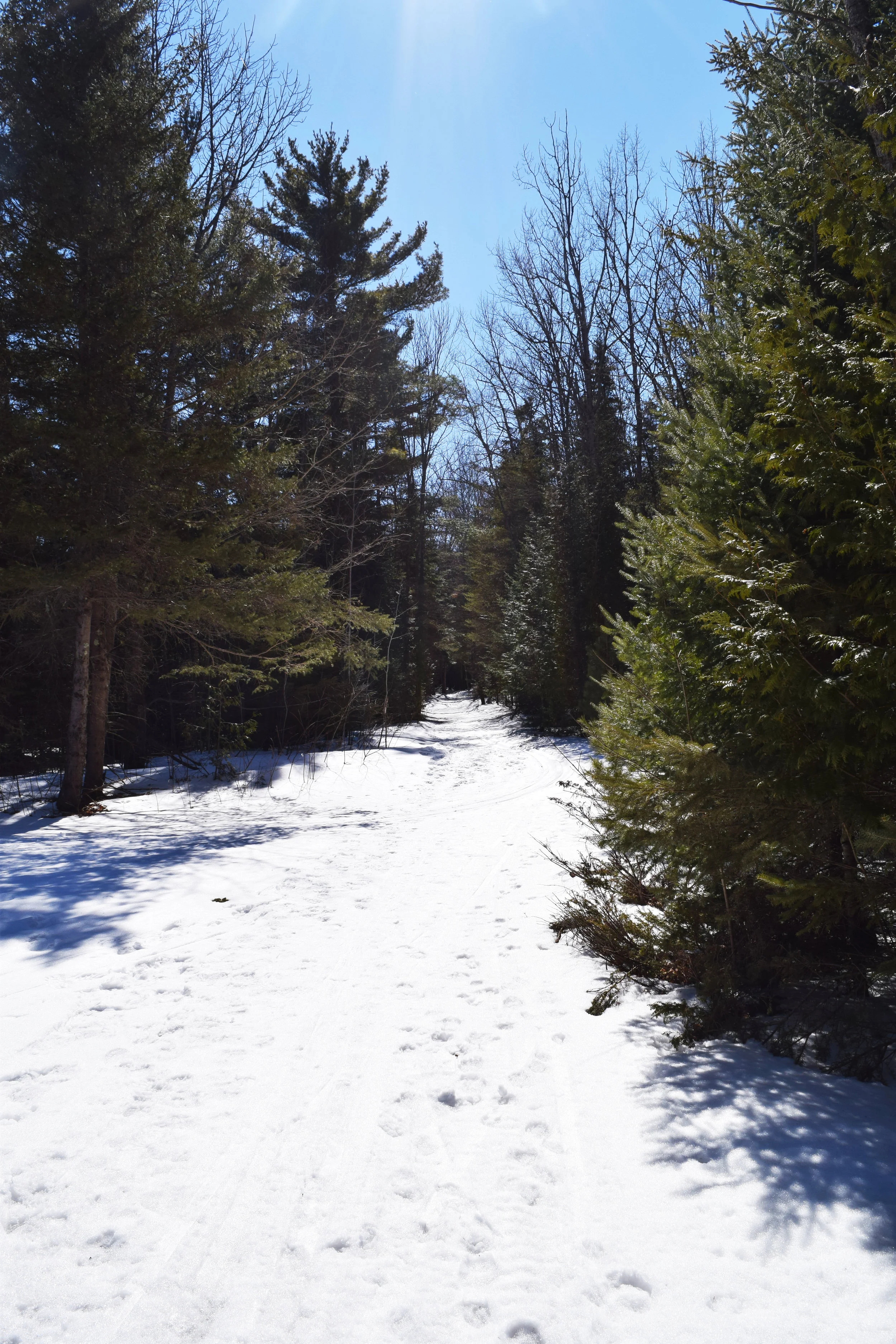 DSC_0489.jpg