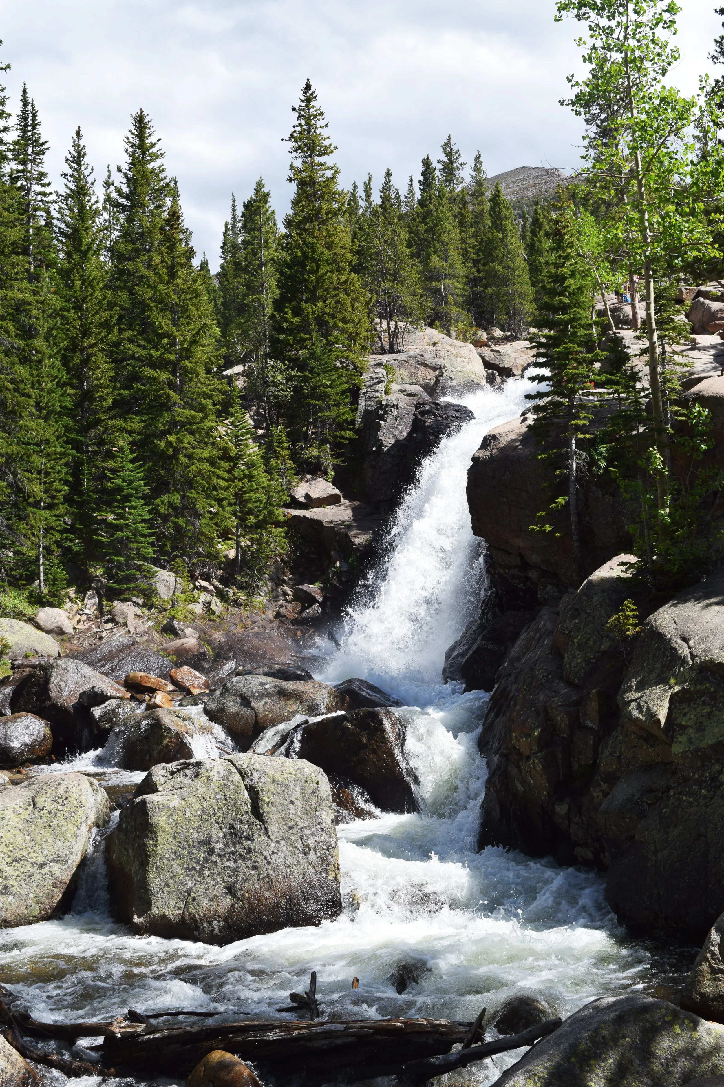 DSC_0734.jpg