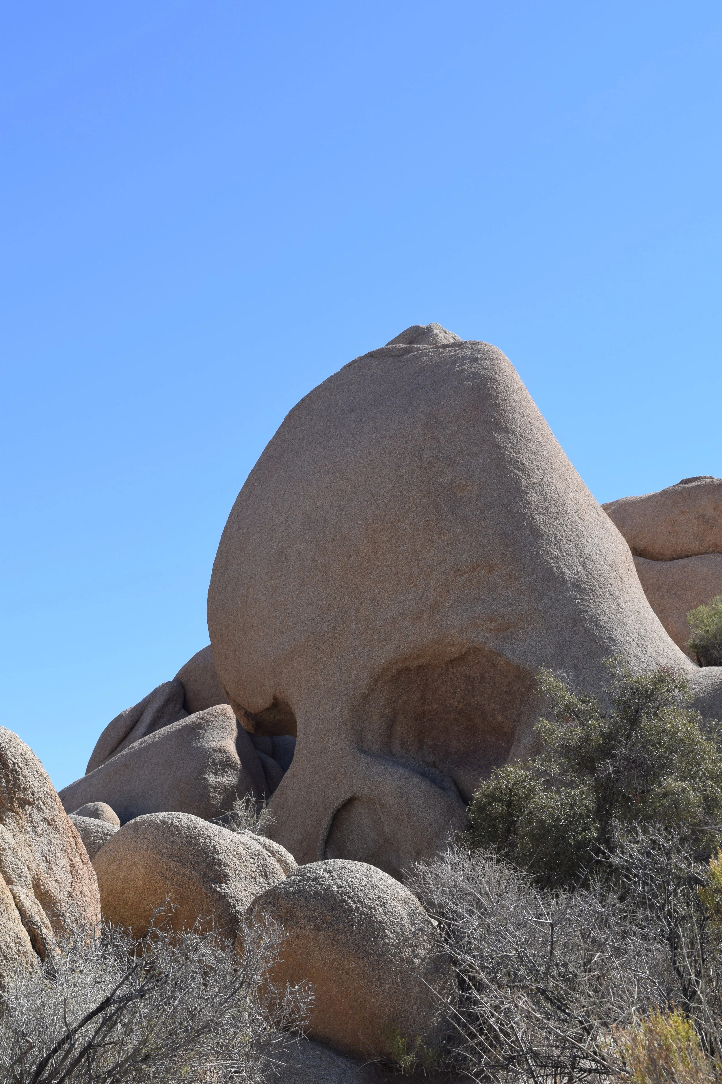 DSC_0665.jpg