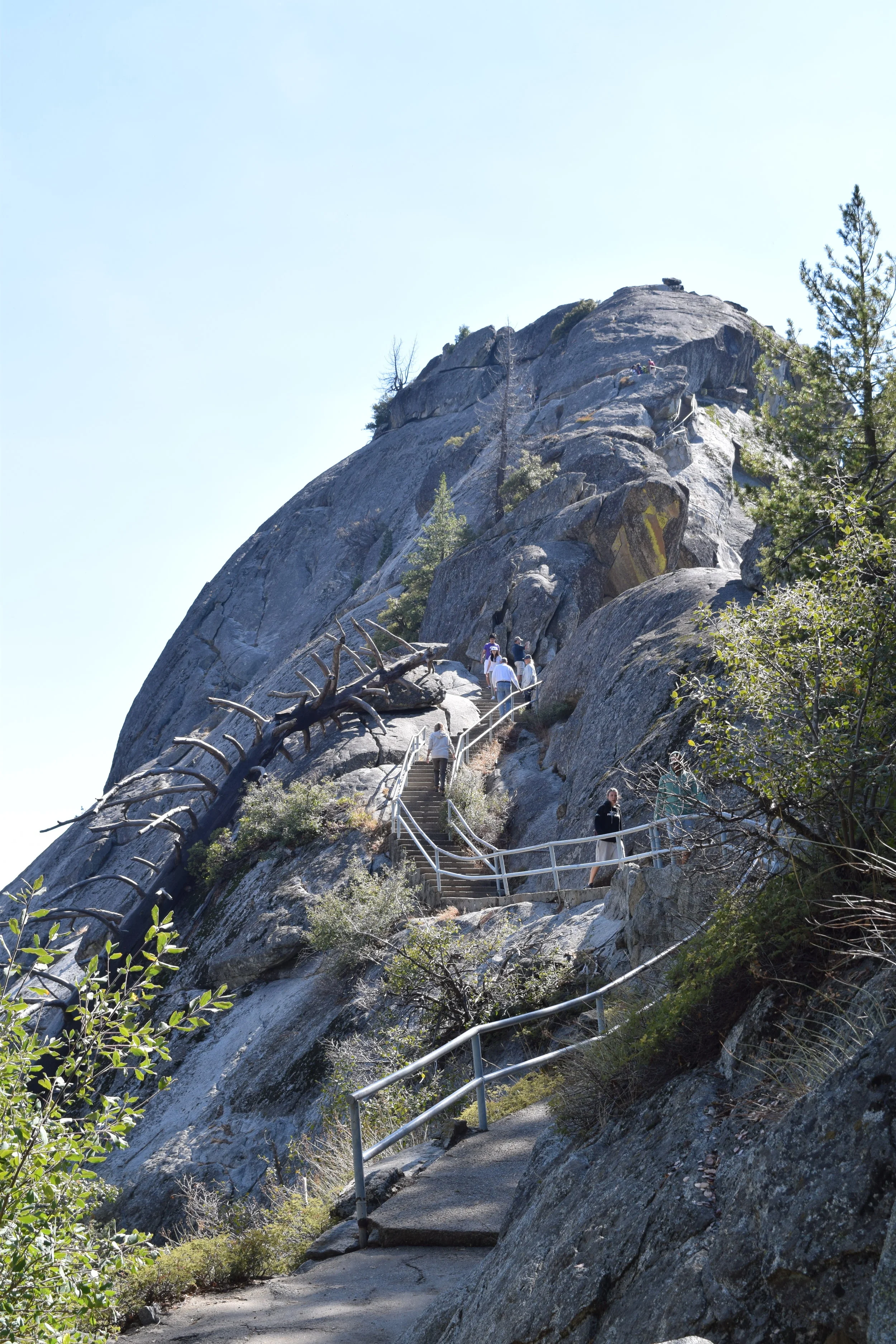 DSC_0916.jpg