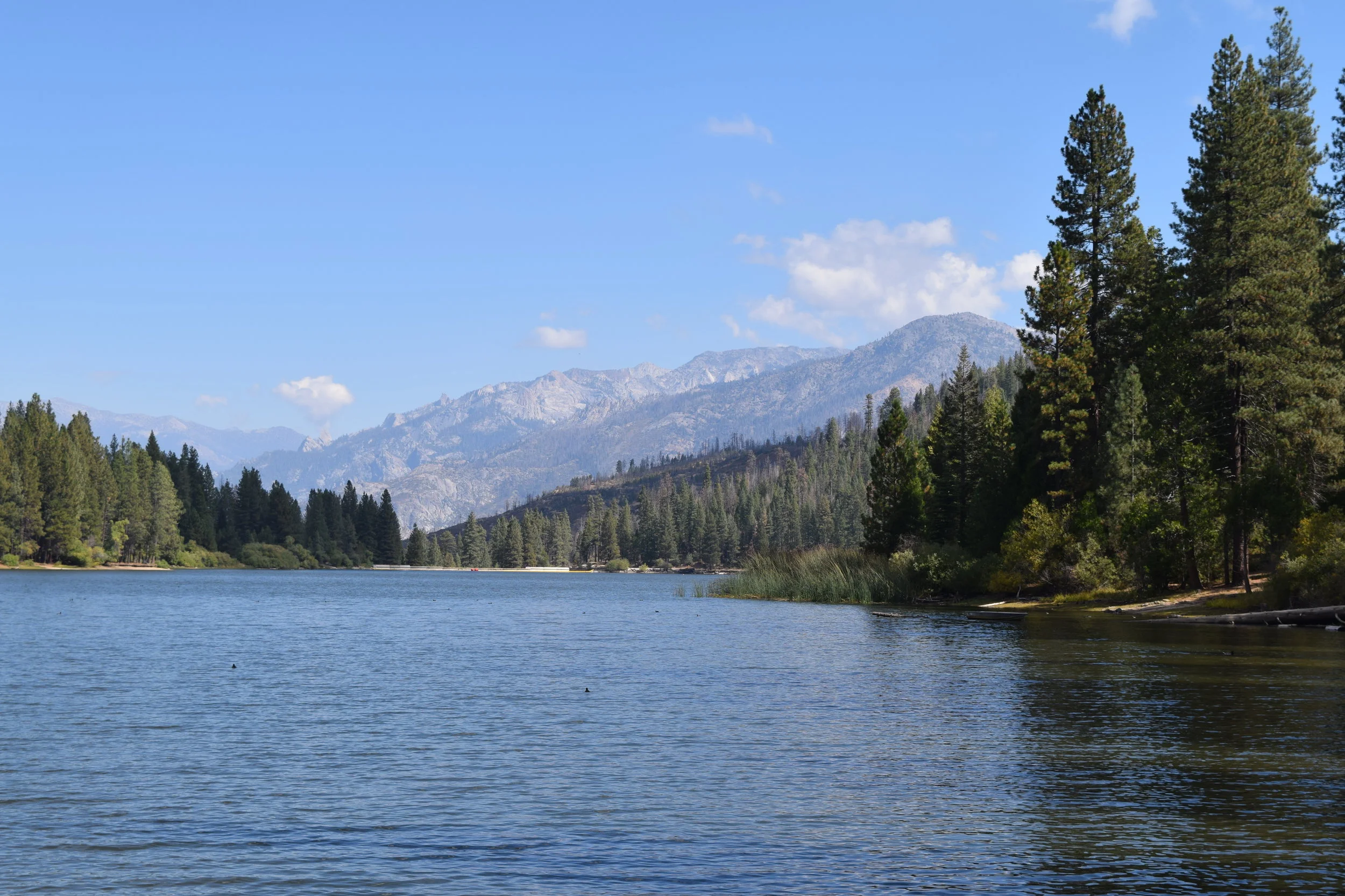 DSC_0990.jpg