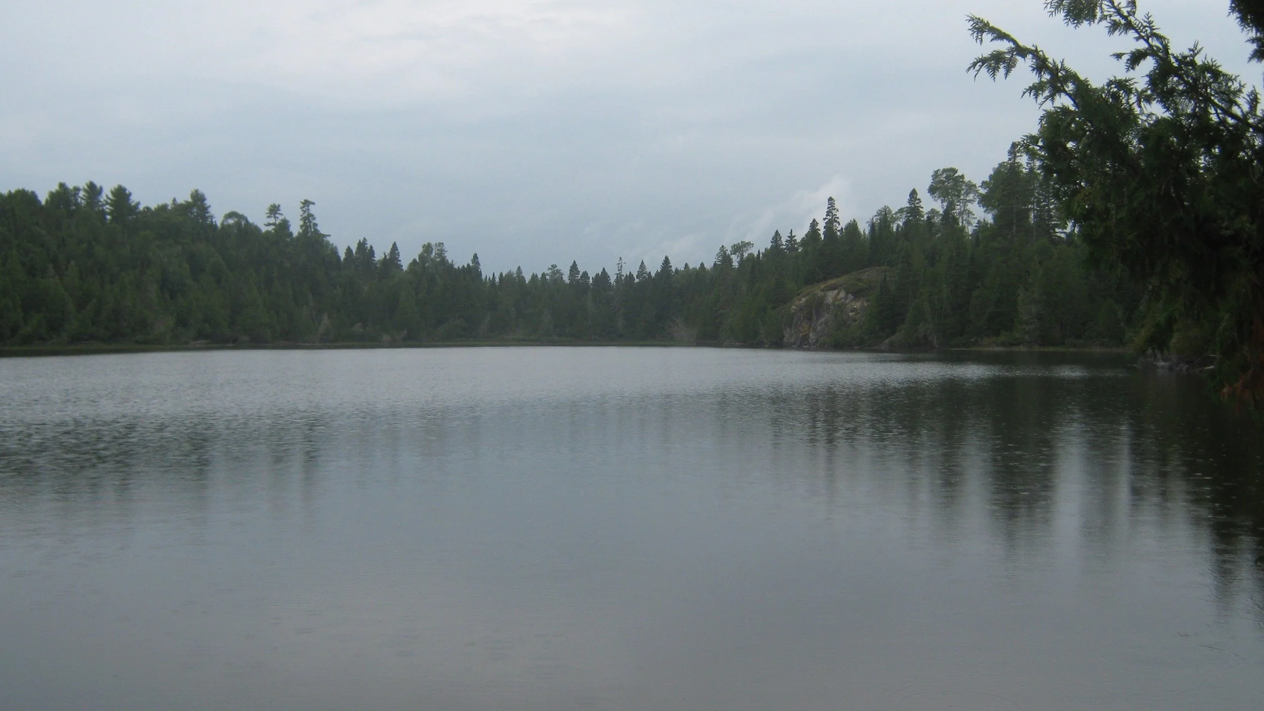 IMG_1774.jpg