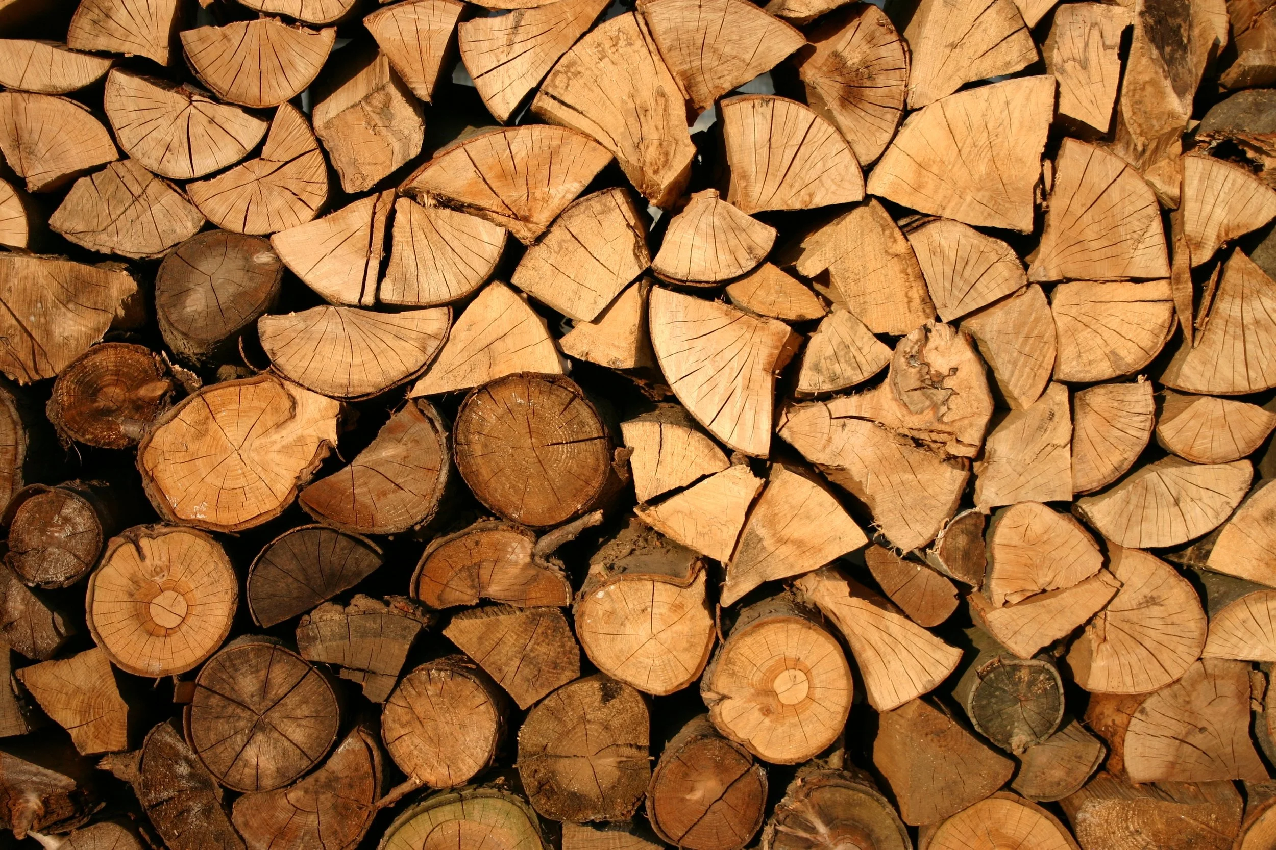 Limbwalkers offers responsibly-harvested firewood as part of its sustainable tree removal service.