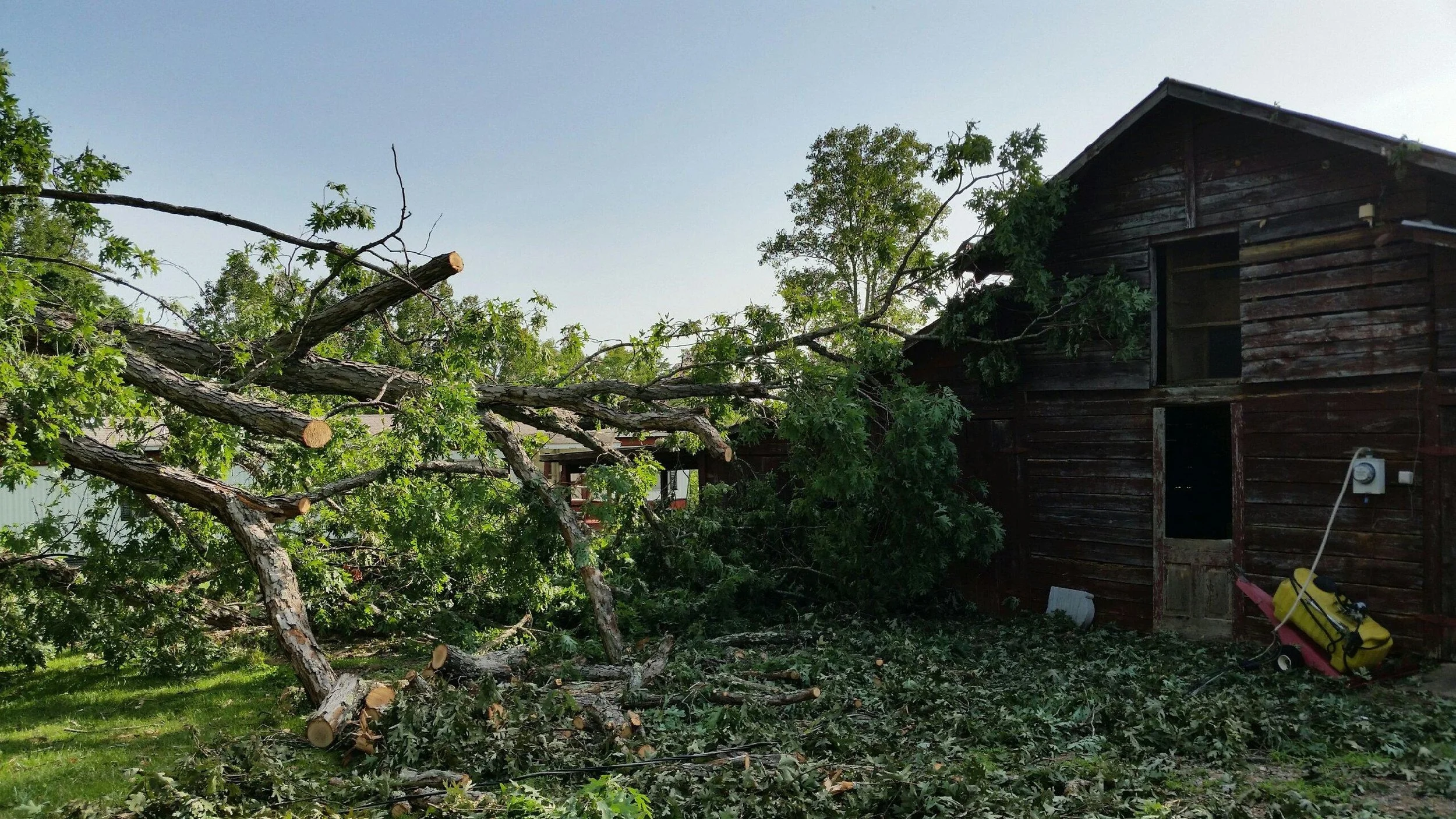 Limbwalkers Tree & Crane Service offers 24/7 emergency tree removal service in Morganton, NC..