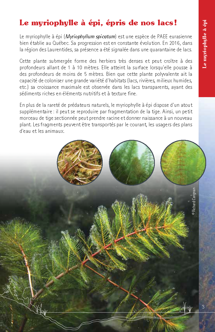 Guide_Myriophylle_FR_Page_03.png