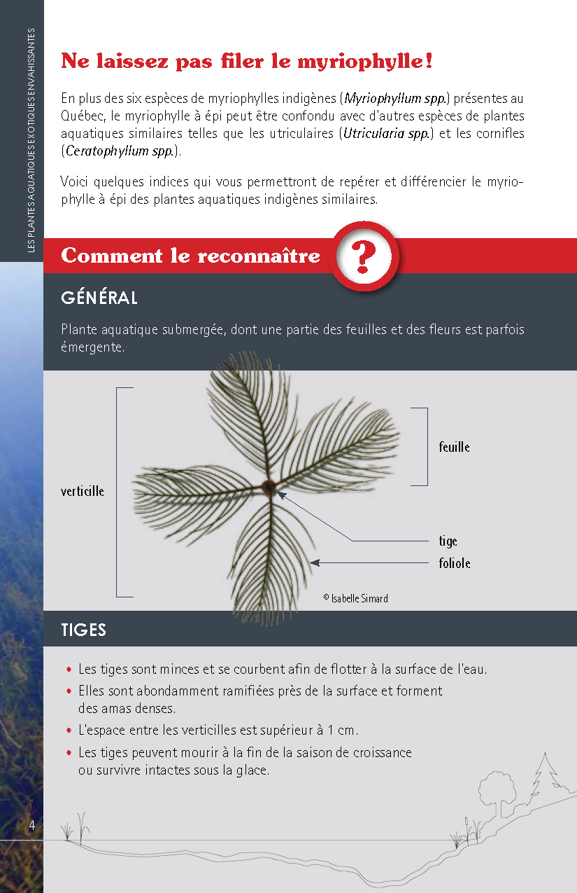 Guide_Myriophylle_FR_Page_04.png