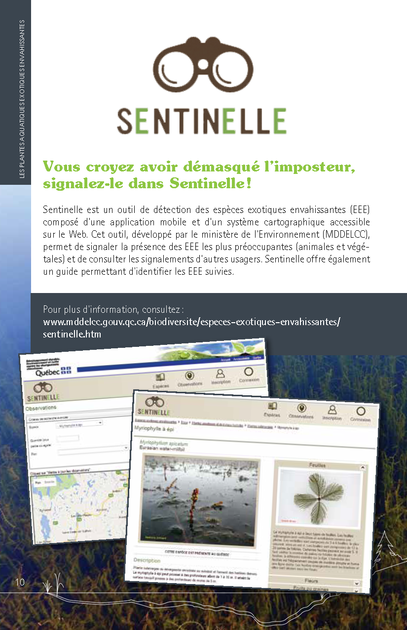 Guide_Myriophylle_FR_Page_10.png