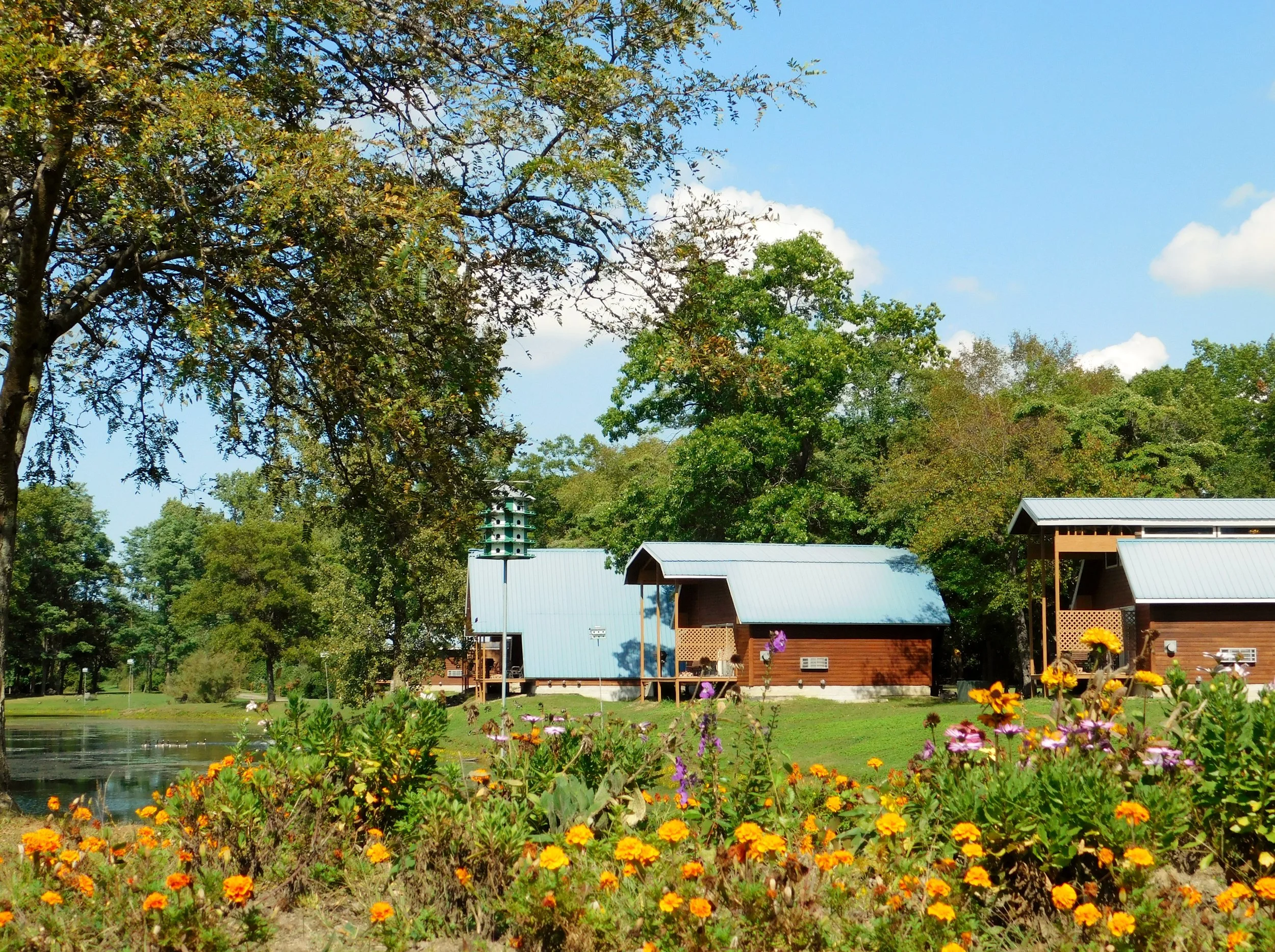 Spring Bloom-Lake View.jpg