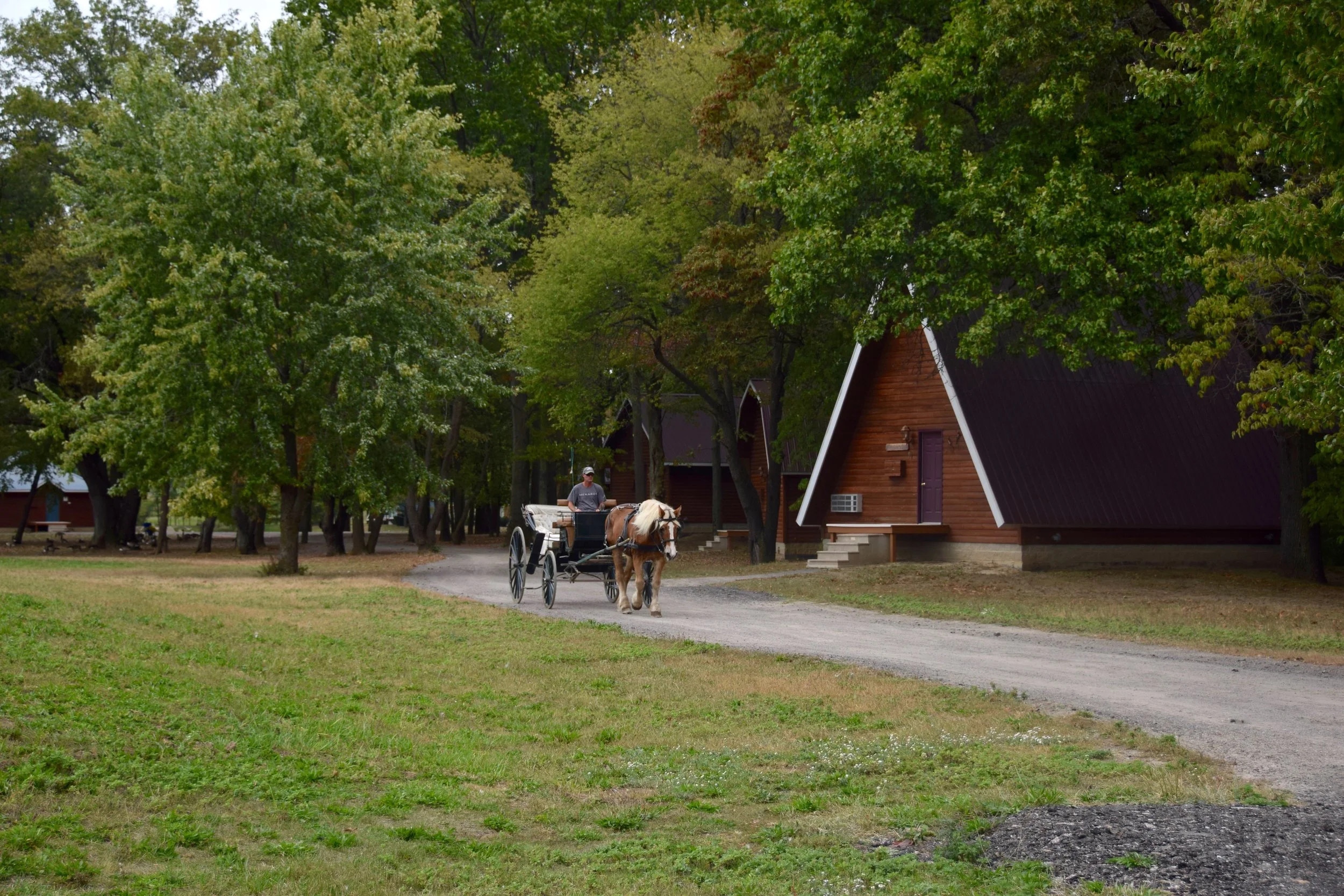 DSC_0871.jpg