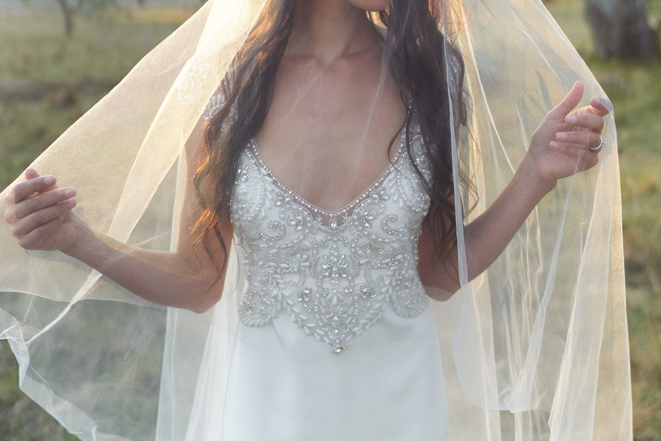 Anna Campbell Bridal | Zara Veil | Wedding Veil | Shop online from AUD$199