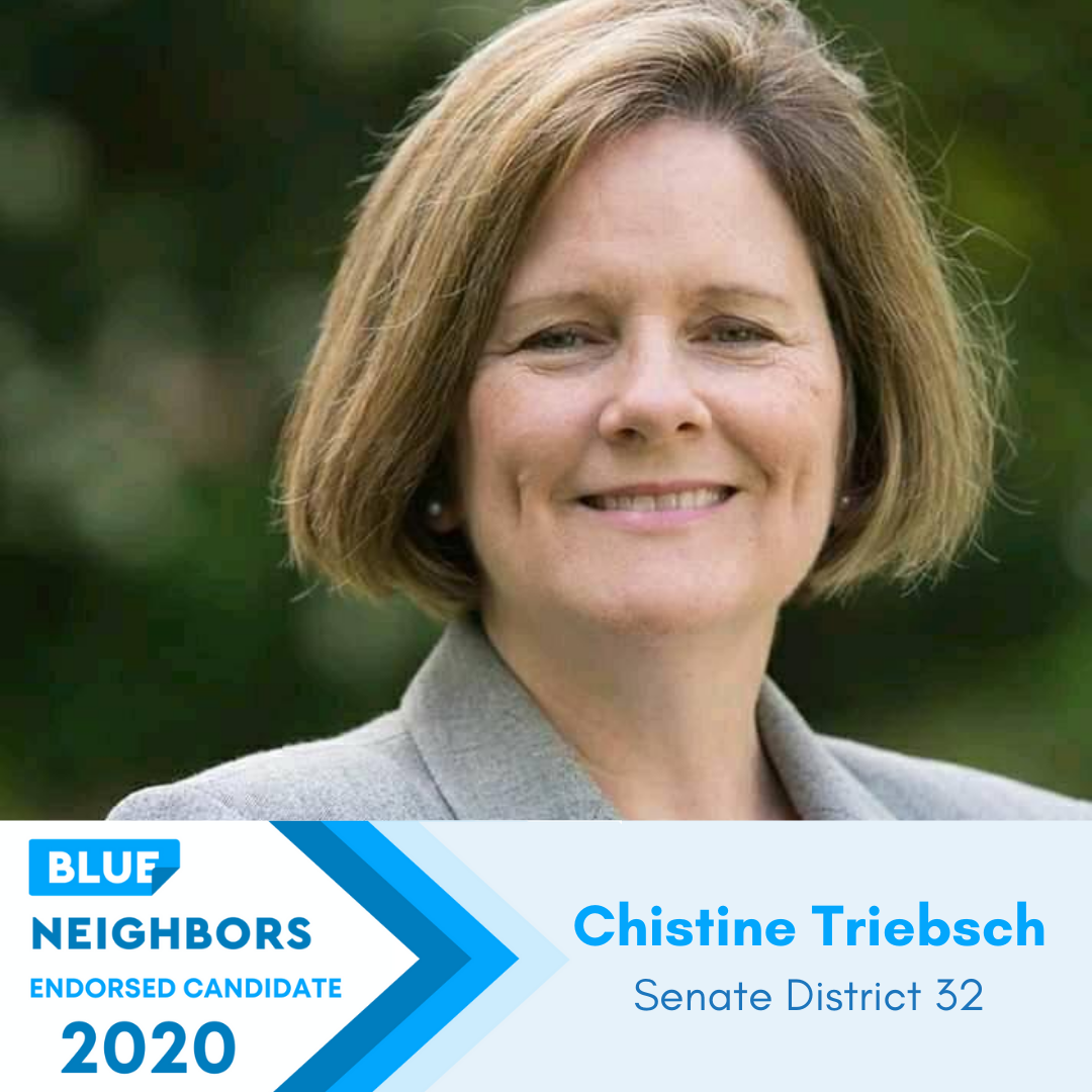 &lt;p&gt;&lt;strong&gt;Christine Triebsch&lt;/strong&gt;Georgia State Senate, District 32&lt;a href="https://www.christineforga.com/" target="_blank"&gt;Learn More→&lt;/a&gt;&lt;/p&gt; 