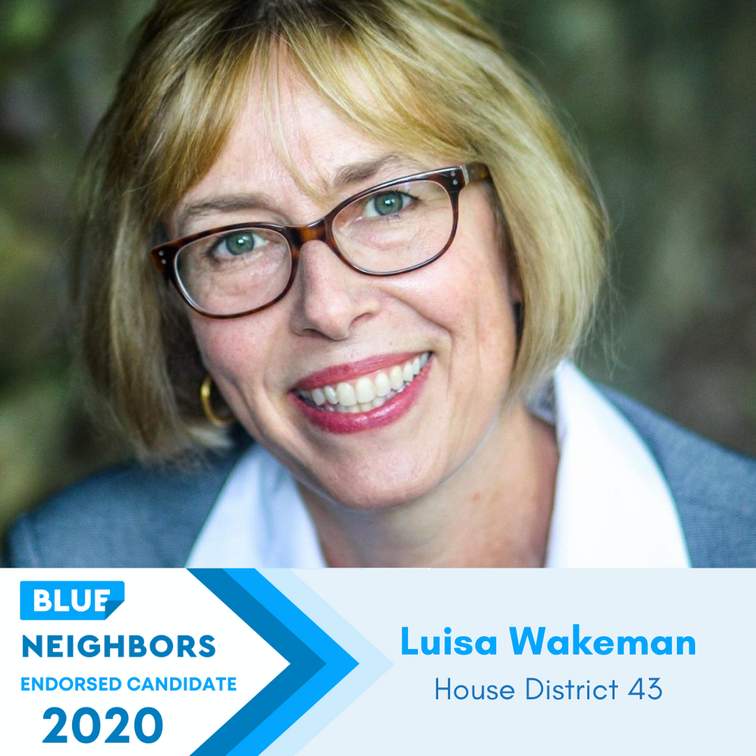 &lt;p&gt;&lt;strong&gt;Luisa Wakeman&lt;/strong&gt;Georgia State House, District 43&lt;a href="https://www.electluisa.com/" target="_blank"&gt;Learn More→&lt;/a&gt;&lt;/p&gt; 