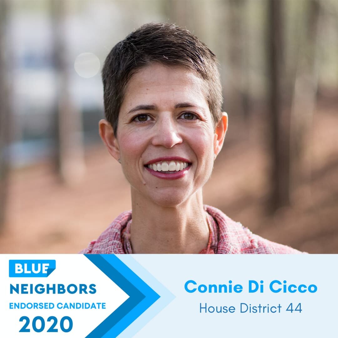 &lt;p&gt;&lt;strong&gt;Connie Di Cicco&lt;/strong&gt;Georgia State House, District 44&lt;a href="https://www.connieforgeorgia.com/" target="_blank"&gt;Learn More→&lt;/a&gt;&lt;/p&gt;