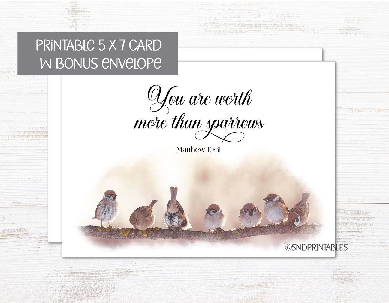 Worth-more-than-sparrows-1.jpg